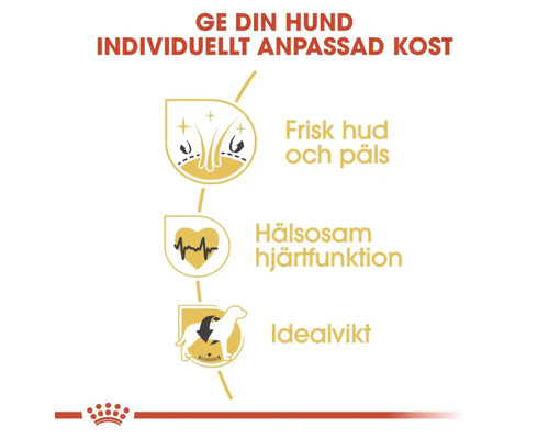 Fördelar med hundfoder: Frisk hud och päls, hälsosam hjärtfunktion, idealvikt