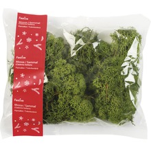 Paket renlav för dekoration