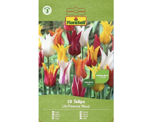 Blomlökar FLORASELF Tulpan Lily-flowered mixed 10st