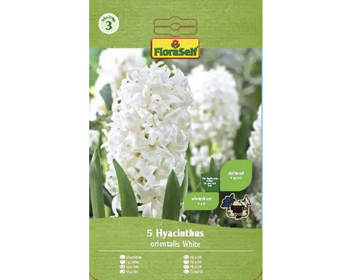 Blomlökar FLORASELF Hyacint Orientalis white 5st