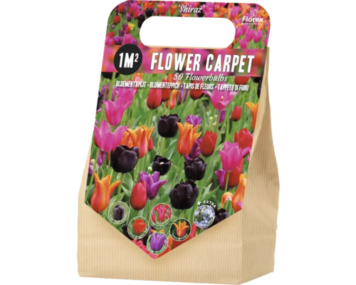 Förpackning blomsterlökar för en blomstermatta med 50 stycken