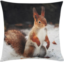 Kudde med ekorrmotiv