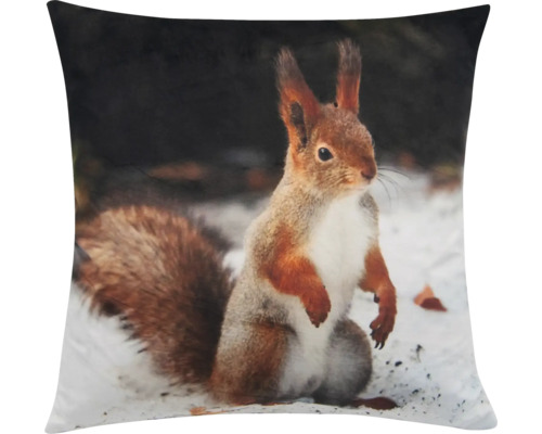 Kudde med ekorrmotiv