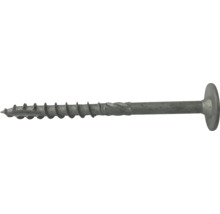 Träskruv WAF MFT XLNT 6,0x60mm C4 100-pack