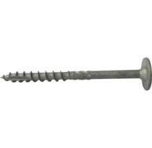Träskruv WAF MFT XLNT 6,0x120mm C4 100-pack