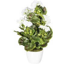 Konstgjord pelargon med vita blommor i vit kruka