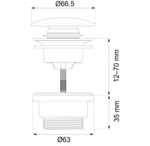 Teknisk ritning av en ventil med måtten diameter 66,5 mm, höjd 12 till 70 mm och 35 mm, samt diameter 63 mm.