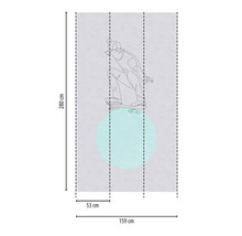 Fototapet med skateboardmotiv, 280 x 159 cm