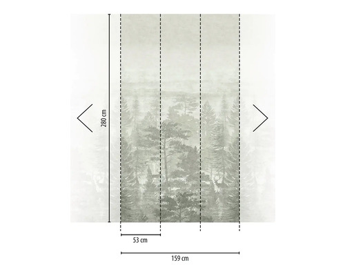 Fototapet med skogsmotiv, mått 280 gånger 159 centimeter