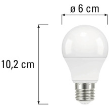 Bild av en glödlampa med måtten 10,2 centimeter hög och 6 centimeter i diameter.