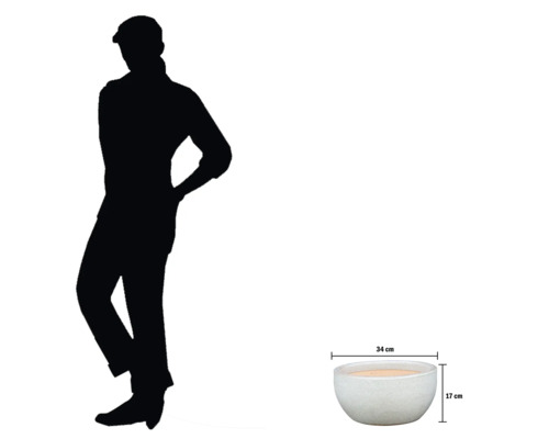 Dekorativ planteringsskål med måtten 34 cm bred och 17 cm hög.