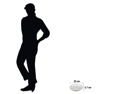 Tallrik med måtten 22 cm i diameter och 3,7 cm i höjd