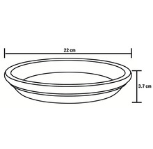 Skiss av ett runt fat med måtten 22 x 3,7 centimeter.