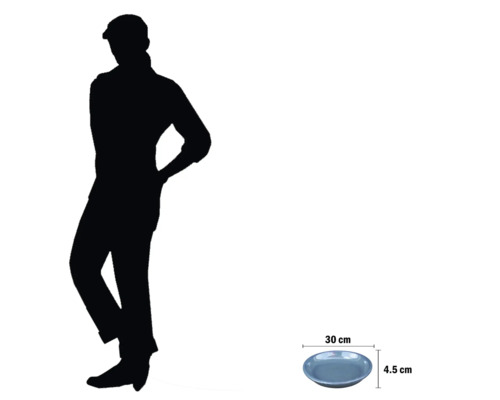 Serveringsfat med en diameter på 30 cm och en höjd på 4,5 cm