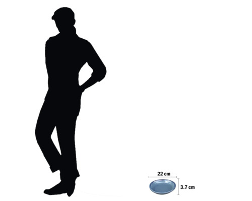 Dekorativ tallrik med en diameter på 22 centimeter och en höjd på 3,7 centimeter