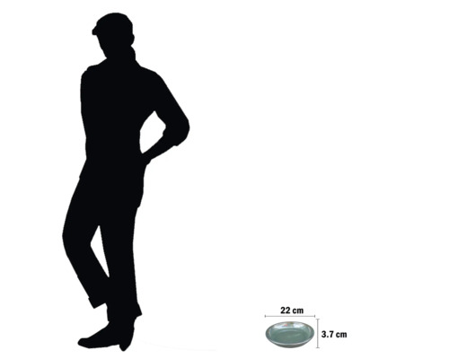 Mått på en keramisk tallrik: 22 centimeter i diameter och 3,7 centimeter i höjd.