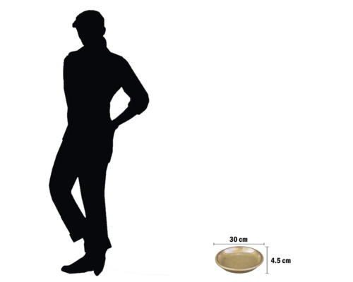 Skål, diameter 30 cm, höjd 4,5 cm, med storleksinformation