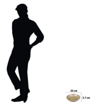 Dekorativ skål som mäter 22 centimeter gånger 3,7 centimeter.