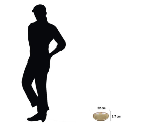 Dekorativ skål som mäter 22 centimeter gånger 3,7 centimeter.