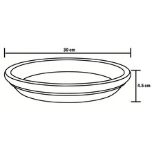 Ritning av ett växtunderlägg med måtten 30 cm x 4,5 cm.