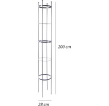 Växtstöd i metall, 200 cm högt och 28 cm brett