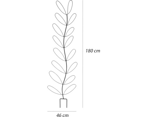 Måttsatt skiss spaljé med en höjd på 180 cm och en bredd på 46 cm