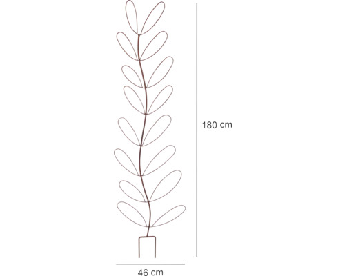 Dekorativt växtstöd av metall med en höjd på 180 cm och en bredd på 46 cm för användning i trädgården