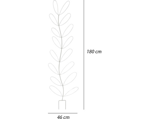 Illustration av ett växtstöd med måtten 180 cm högt och 46 cm brett.