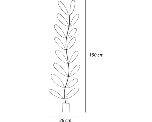 Bild av en metallväxt med en höjd av 150 cm och en bredd av 38 cm.