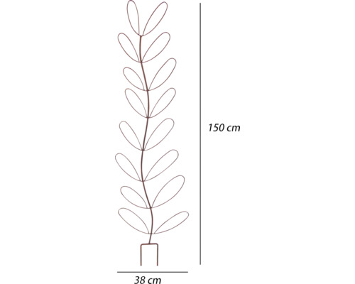 Växtstöd i metall, 150 cm högt och 38 cm brett
