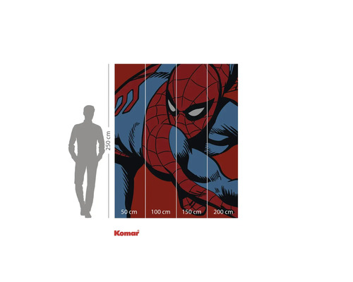 Komar väggmålning med Spider-Man-motiv