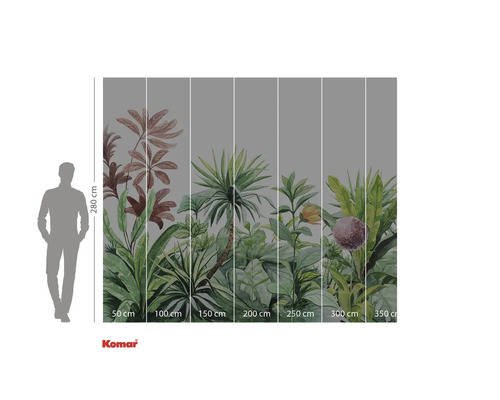 Fototapet med djungelmotiv och storleksangivelser.