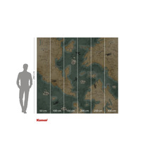 Komar väggmålning med världskartmotiv och storleksangivelser.