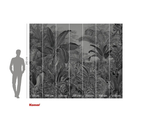 Fototapet med djungelmotiv och storleksangivelser