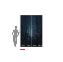 Fototapet med Star Wars motiv, scen i skogen, 280 cm hög