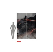 Komar Star Wars fototapet Darth Vader, 280 x 200 cm