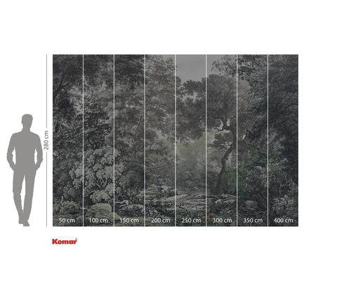 Fototapet med skogsmotiv och storleksinformation.