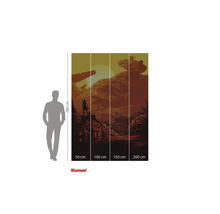 Fototapet med ökenlandskap, person och rymdskepp