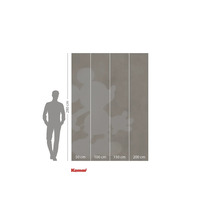 Fototapet med Musse Pigg motiv och måttangivelser