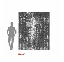 Fototapet med skogsmotiv och måttangivelser