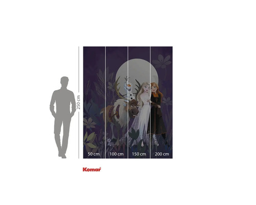 Komar fototapet med motivet Frost