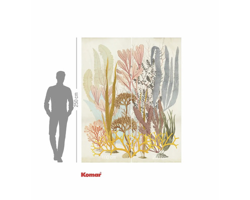 Fototapet med motiv av koraller och alger