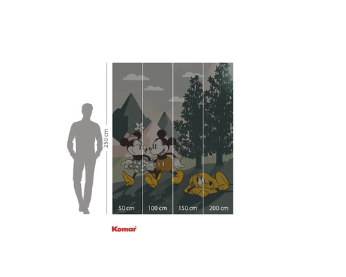 Komar Mickey Mouse och Pluto fototapet med måtten 250 gånger 200 centimeter