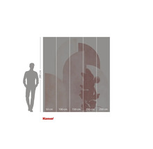 Fototapet med Musse Pigg-motiv och storleksinformation.