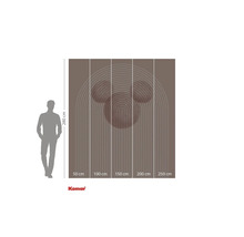 Fototapet med Mickey Mouse motiv och dimensioner.