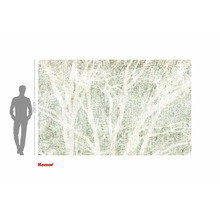 Komar fototapet med skogsmotiv och storleksangivelse