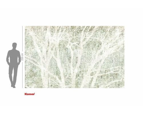 Komar fototapet med skogsmotiv och storleksangivelse