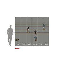 Fototapet med motiv av Musse Pigg, Långben, Kalle Anka och Pluto