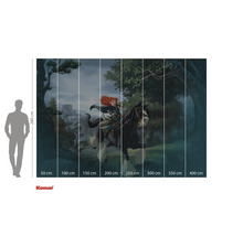 Fototapet med motiv från filmen Brave, inklusive måttuppgifter