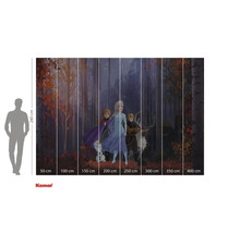 Komar fototapet med motivet Frost 2, mått 280 x 400 cm